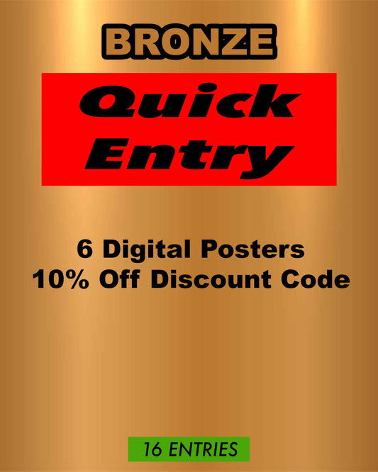 Mitsubishi Evo X Quick Entry - Bronze